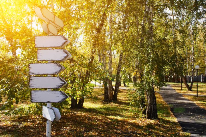 shutterstock-1193064352.jpg -